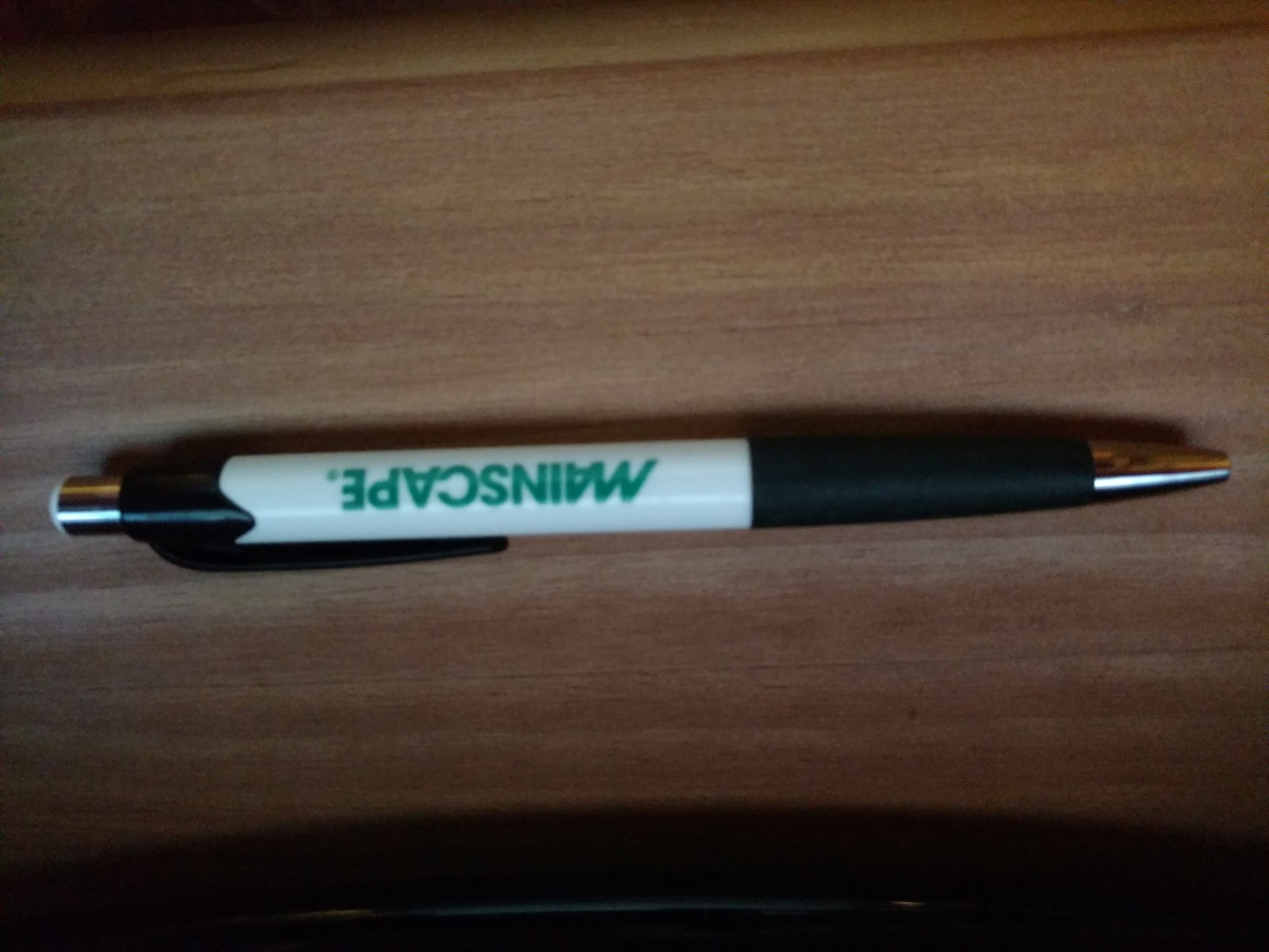 Ink Pen w/Logo