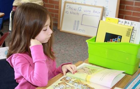 Classroom Library - Book Boxes - Independent Reading