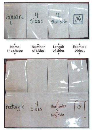 Laminated Flapbook - Collect comparison information - Graphic Organizer