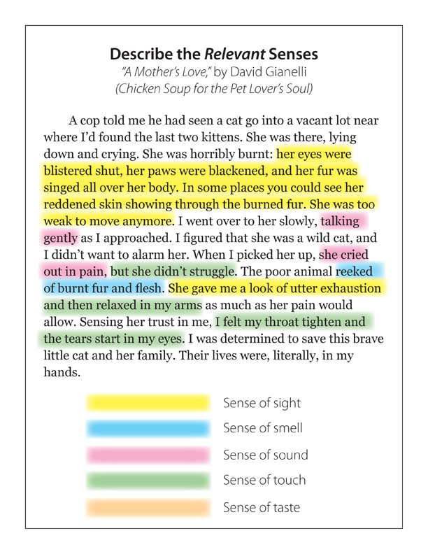 Describe the relevant senses - Highlighted sample